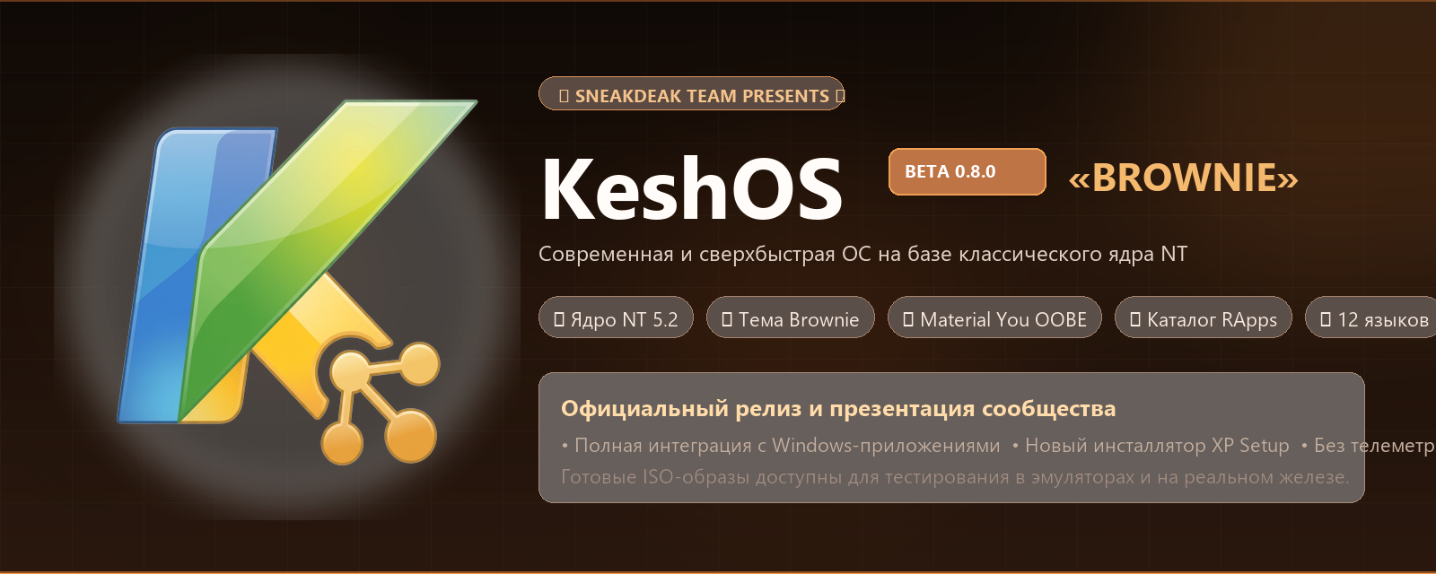 Сообщество SneakDeak